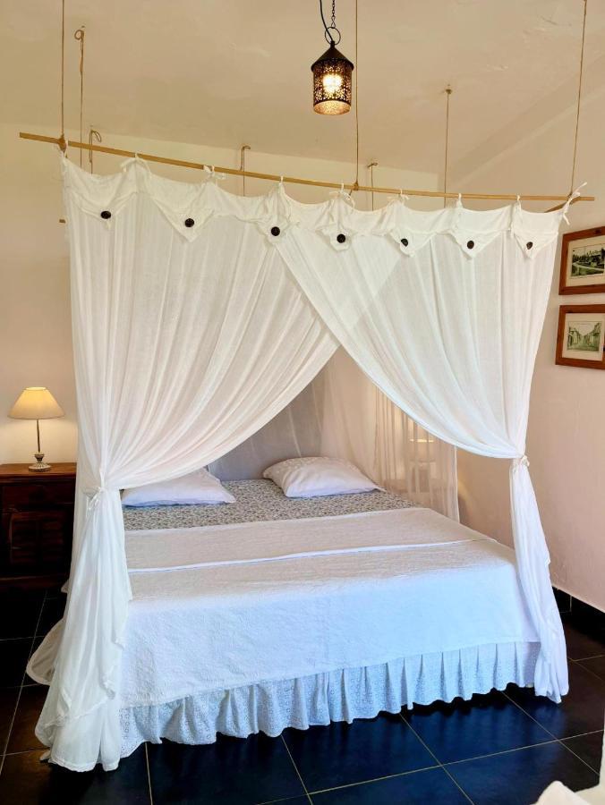 سانت-كلود Habitation La Reine Du Camp Chambres D'Hotes المظهر الخارجي الصورة